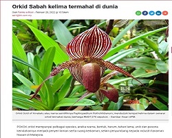 Orkid Sabah kelima termahal di dunia